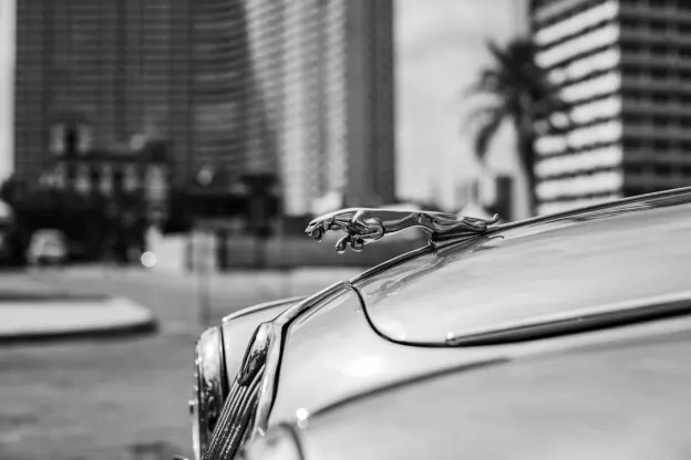 Kazoom Casino Android/iOS App